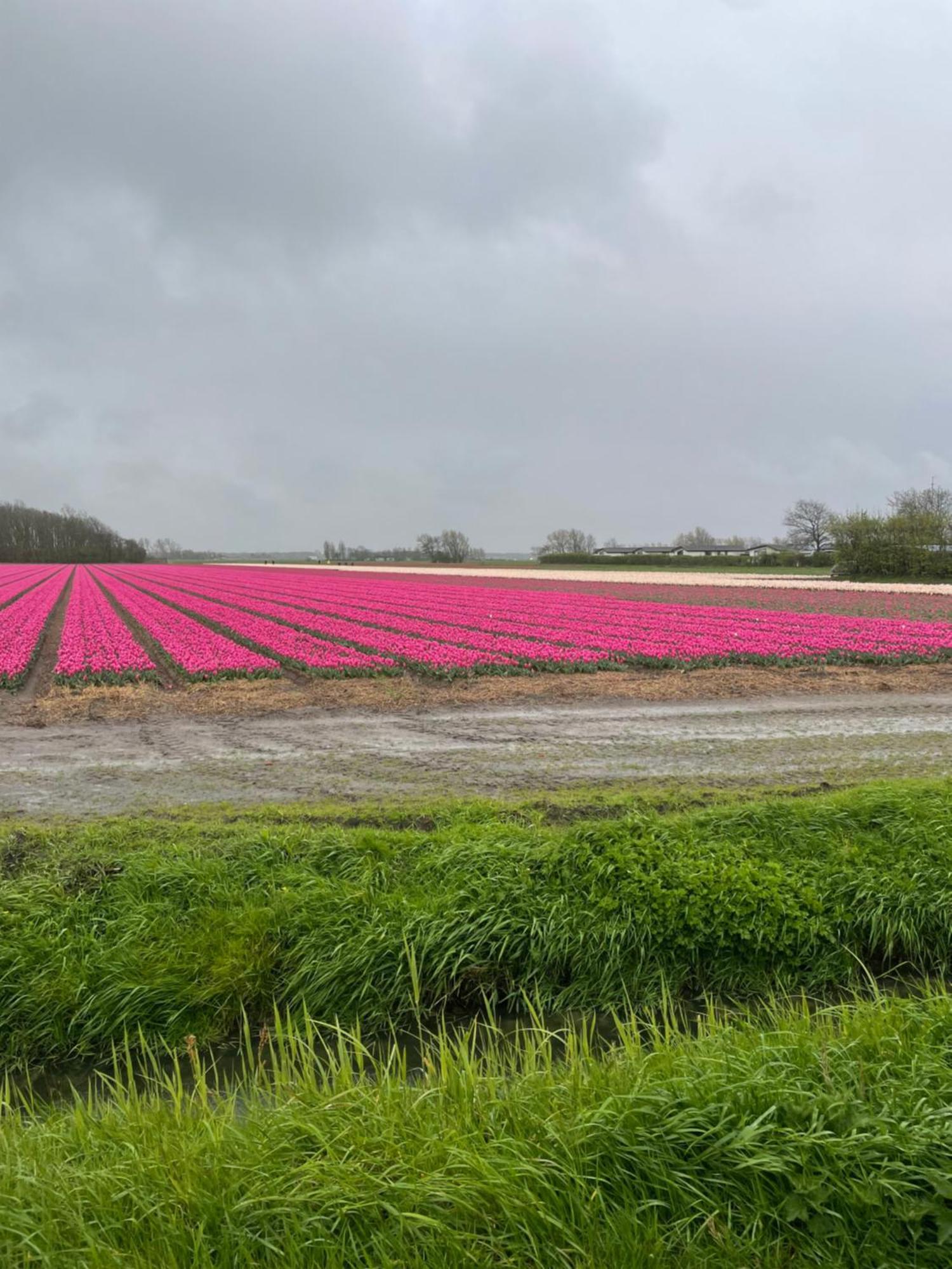 Apartmán Molenzicht Alkmaar Exteriér fotografie